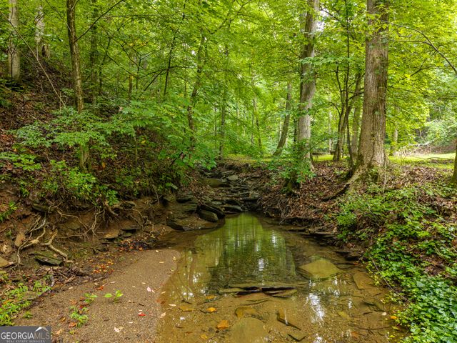 1117 Rambling Road, Fairmount, GA 30139