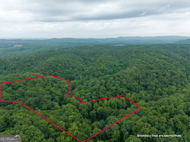 1117 Rambling Road, Fairmount, GA 30139