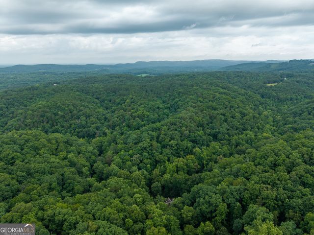 1117 Rambling Road, Fairmount, GA 30139