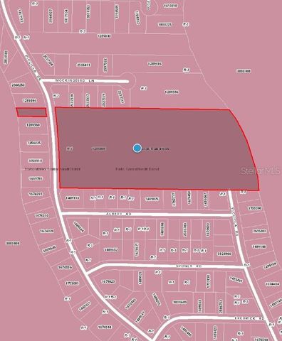 PICCIOLA DRIVE, Fruitland Park, FL 34731