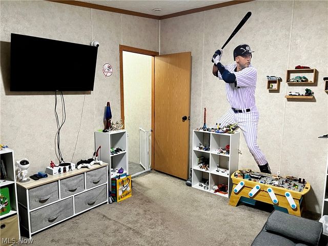 224 Woodvue Lane, Wintersville, OH 43953