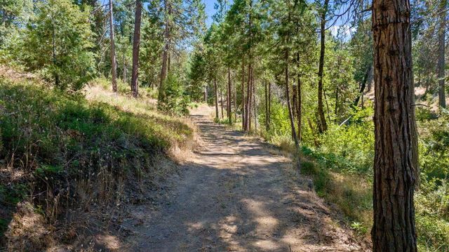 48675 Todd Eymann Road, Miramonte, CA 93641