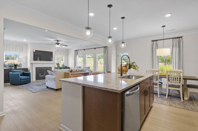 1437 Centerstone Lane, Apison, TN 37302