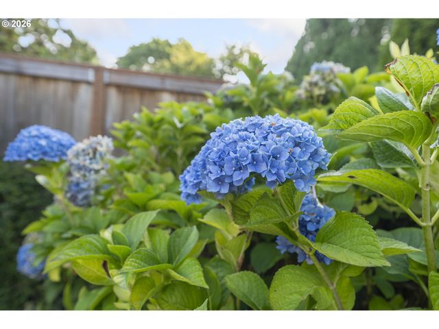 5920 Nw 208TH Ave, Portland, OR 97229
