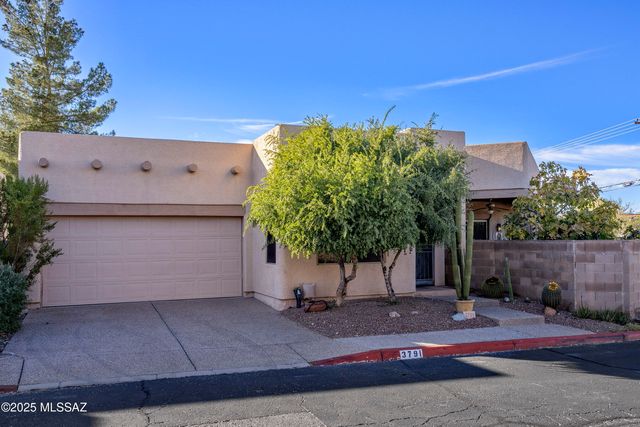 3791 N Lost Chestnut Drive, Tucson, AZ 85719
