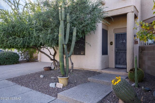 3791 N Lost Chestnut Drive, Tucson, AZ 85719