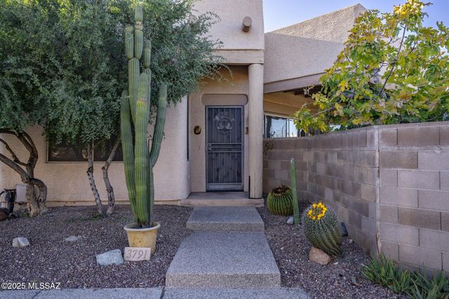 3791 N Lost Chestnut Drive, Tucson, AZ 85719