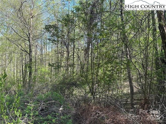 TBD Quail Hollow Drive 27, Jefferson, NC 28640