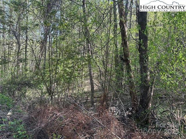 TBD Quail Hollow Drive 27, Jefferson, NC 28640