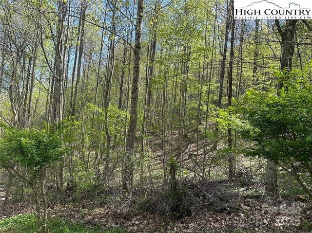 TBD Quail Hollow Drive 27, Jefferson, NC 28640