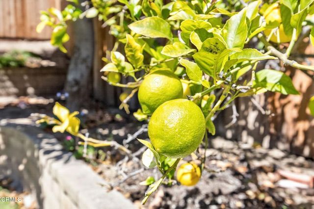 6219 Loma Vista Road, Ventura, CA 93003