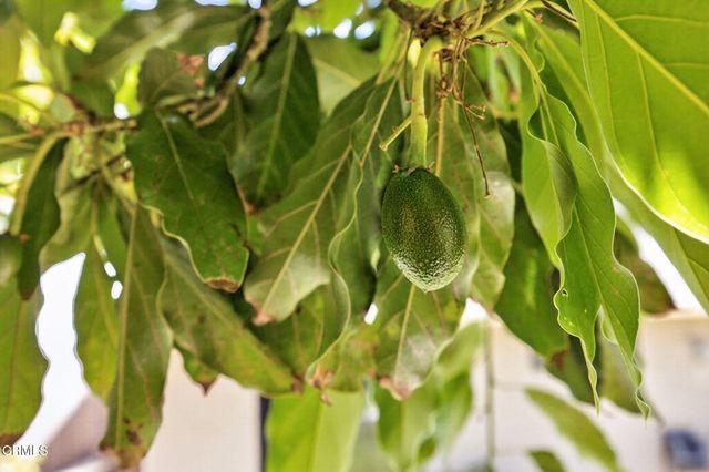 6219 Loma Vista Road, Ventura, CA 93003