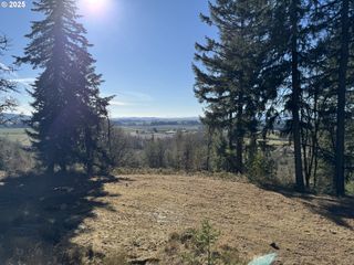 Se Rice Ln, Amity, OR 97101