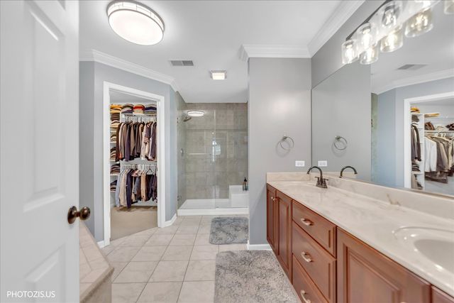 80 CHESTNUT Court, Elgin, IL 60120