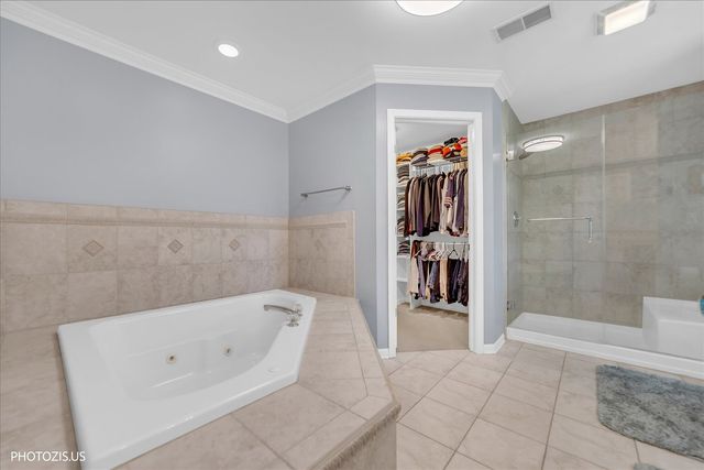 80 CHESTNUT Court, Elgin, IL 60120