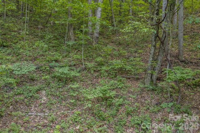 263 Mockingbird Road 2, Swannanoa, NC 28778