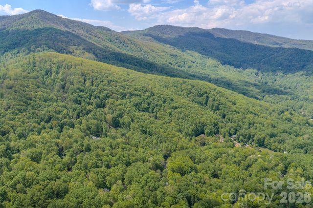 263 Mockingbird Road 2, Swannanoa, NC 28778