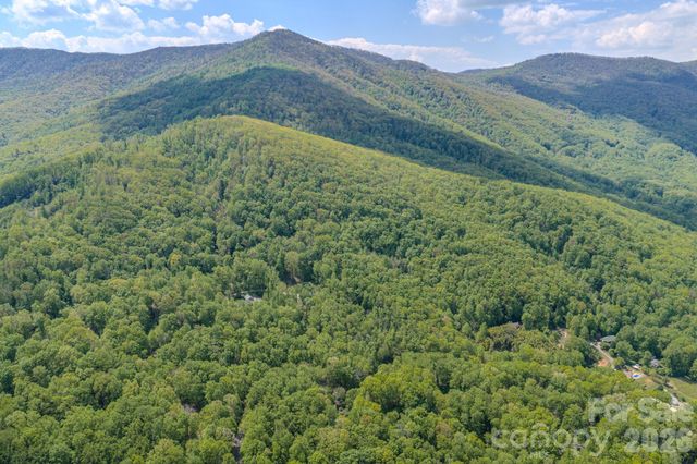 263 Mockingbird Road 2, Swannanoa, NC 28778