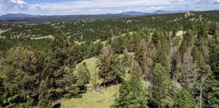 235 Hay Creek Road, Florissant, CO 80816