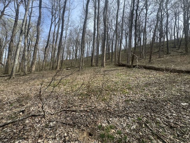 74 Williamson Cir, Smithville, TN 37166