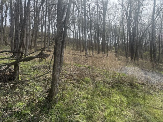 74 Williamson Cir, Smithville, TN 37166