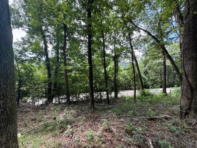 74 Williamson Cir, Smithville, TN 37166