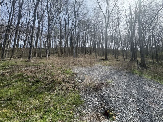 74 Williamson Cir, Smithville, TN 37166