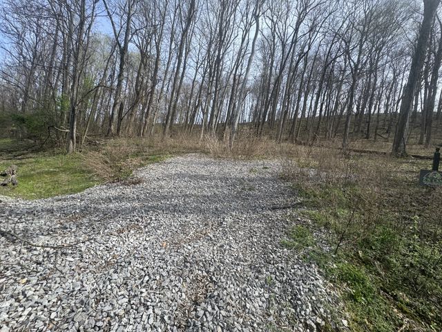 74 Williamson Cir, Smithville, TN 37166