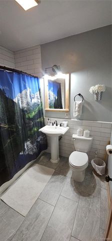 365 Gold Pan Lane, Fairplay, CO 80440