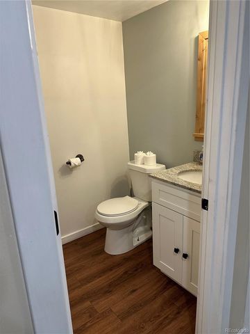 365 Gold Pan Lane, Fairplay, CO 80440