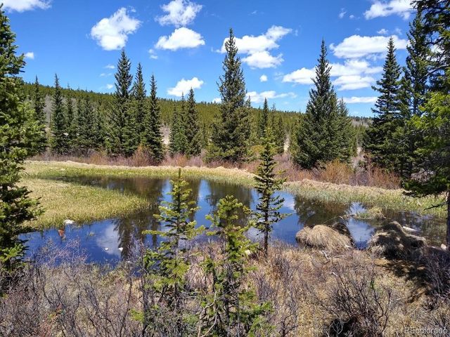 365 Gold Pan Lane, Fairplay, CO 80440