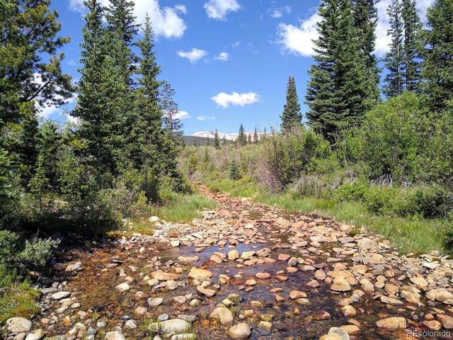 365 Gold Pan Lane, Fairplay, CO 80440