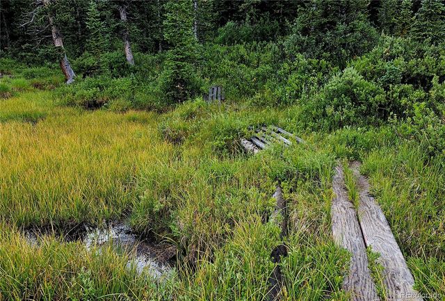 365 Gold Pan Lane, Fairplay, CO 80440