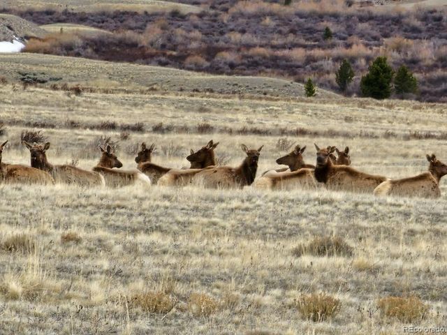 365 Gold Pan Lane, Fairplay, CO 80440