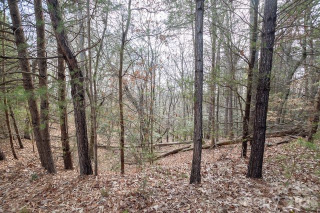 4012 Beechwood Spring Lane, Belmont, NC 28012