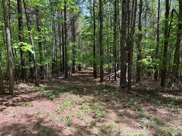 290 Bear Trace Drive Rb-201, Jasper, TN 37347