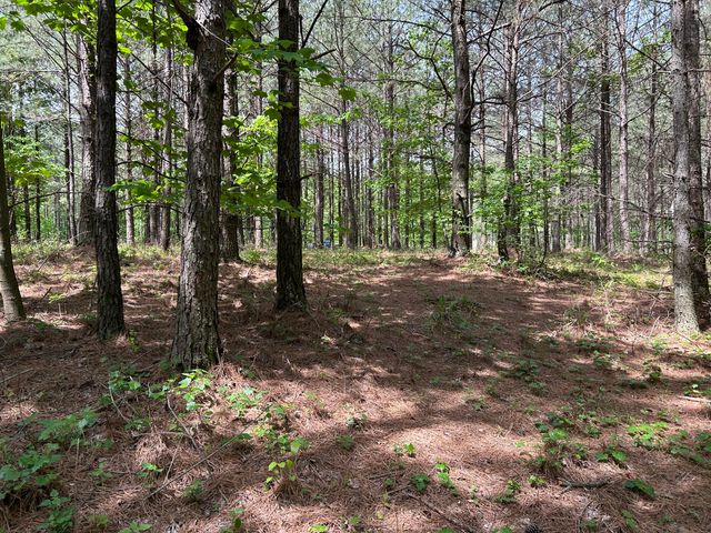 290 Bear Trace Drive Rb-201, Jasper, TN 37347