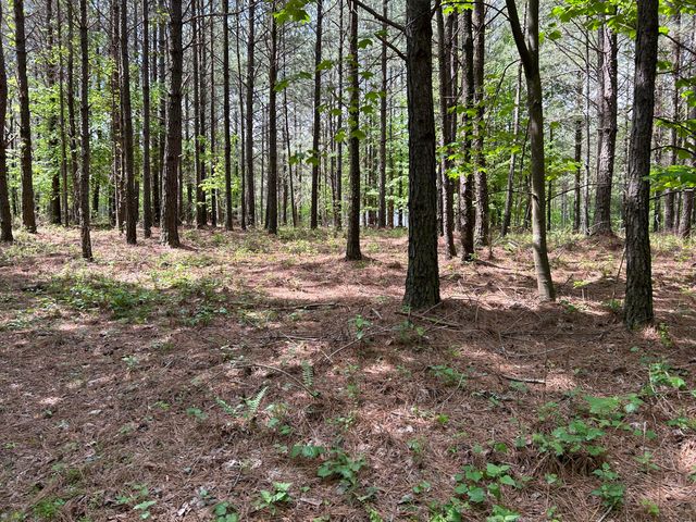 290 Bear Trace Drive Rb-201, Jasper, TN 37347