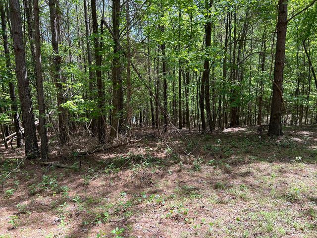 290 Bear Trace Drive Rb-201, Jasper, TN 37347