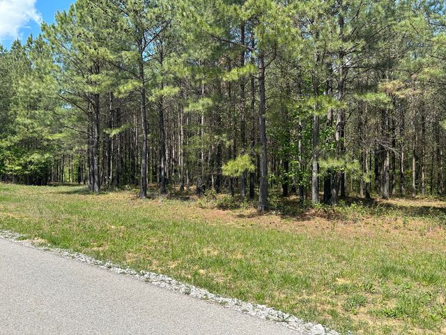 290 Bear Trace Drive Rb-201, Jasper, TN 37347