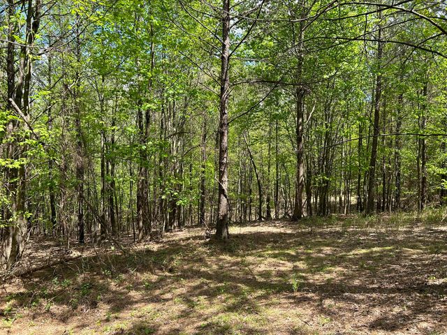 290 Bear Trace Drive Rb-201, Jasper, TN 37347