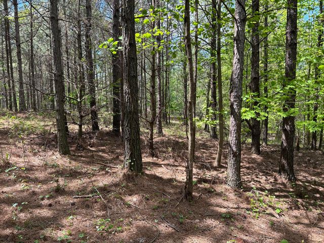 290 Bear Trace Drive Rb-201, Jasper, TN 37347