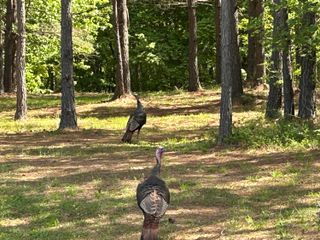 290 Bear Trace Drive Rb-201, Jasper, TN 37347