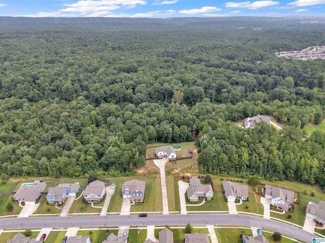 4460 OLD CAHABA PARKWAY, Helena, AL 35080