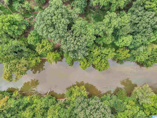 4460 OLD CAHABA PARKWAY, Helena, AL 35080