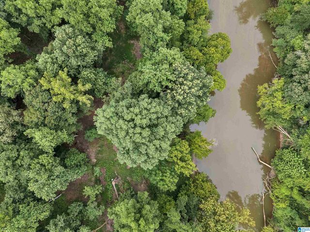 4460 OLD CAHABA PARKWAY, Helena, AL 35080