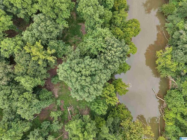 4460 OLD CAHABA PARKWAY, Helena, AL 35080