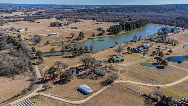 11786 County Road 4401, Larue, TX 75770