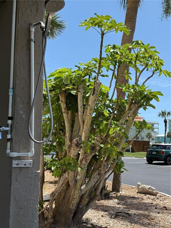 Image 38 of property listing at 19451 GULF BOULEVARD 205, Indian Shores, FL 33785