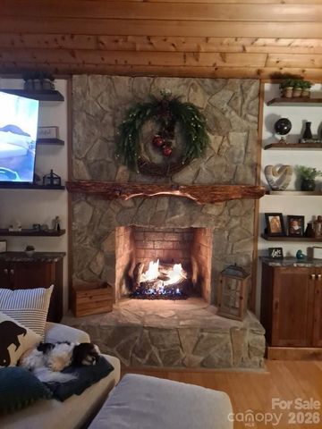 394 Jonathan Lane, Lake Lure, NC 28746